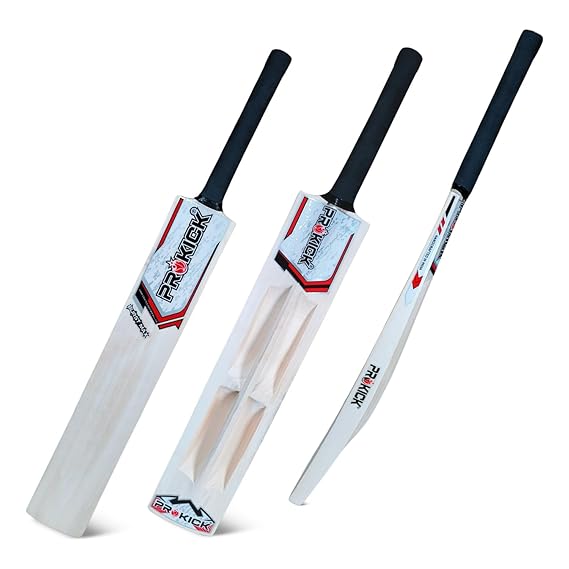 kashmir willow cricket bat